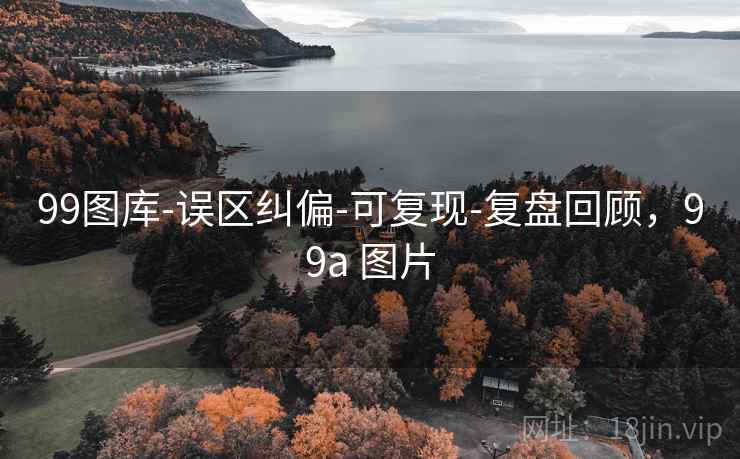 99图库-误区纠偏-可复现-复盘回顾，99a 图片